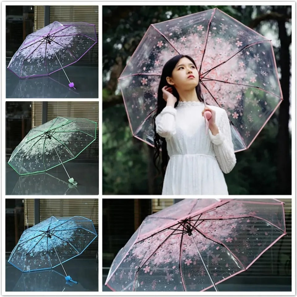Cherry Blossom Transparent Umbrella