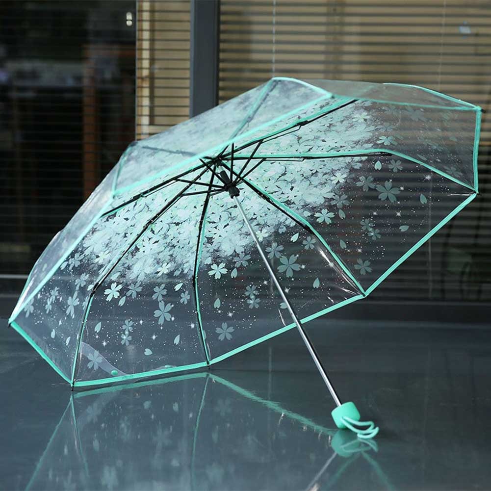 Cherry Blossom Transparent Umbrella