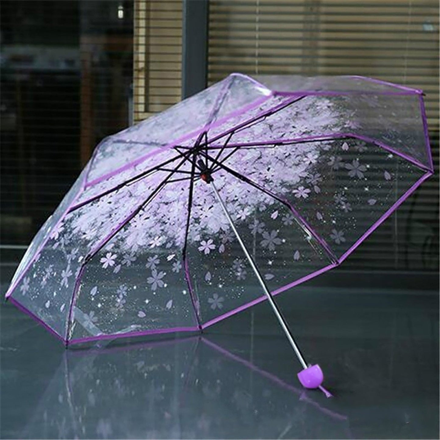 Cherry Blossom Transparent Umbrella