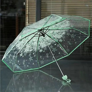 Cherry Blossom Transparent Umbrella