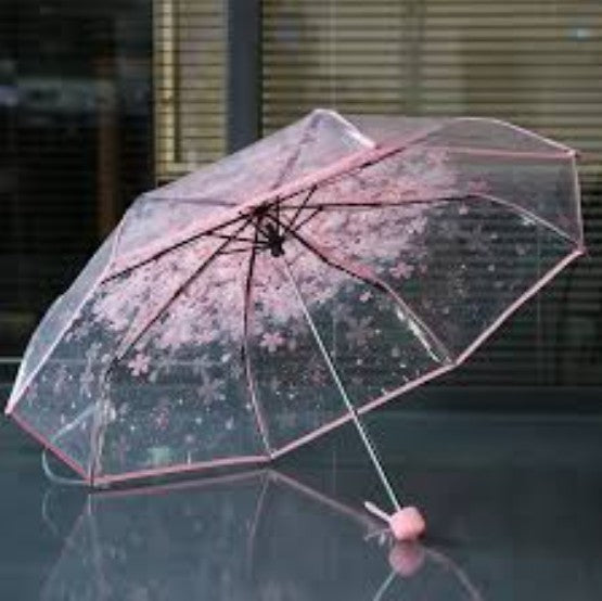 Cherry Blossom Transparent Umbrella
