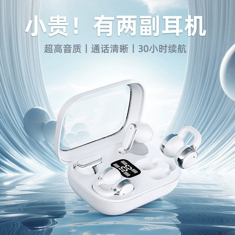 Q10 2in1 Couple Premium LED TWS Wireless Earbuds (ANC & LED Digital Display)
